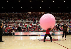 Bay Area Balloon